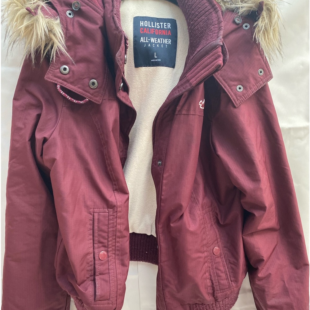 Hollister hooded jacket
